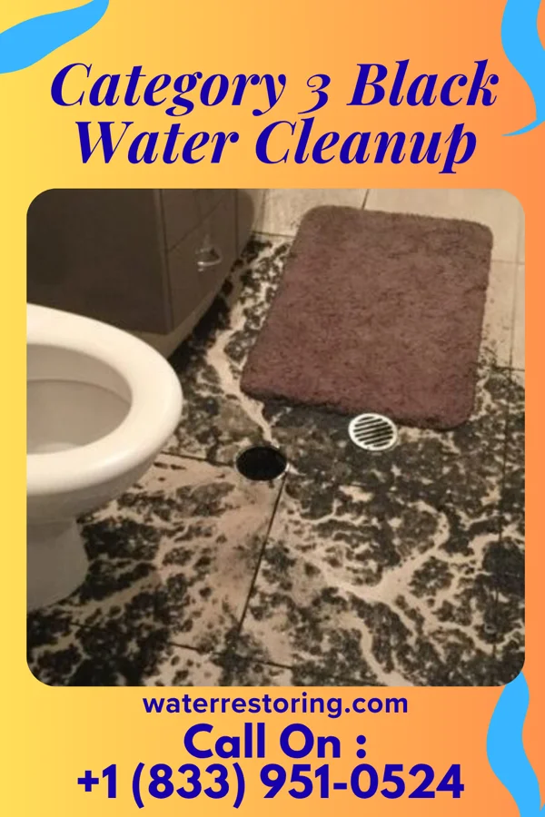 Category 3 Black Water Cleanup in East Riverdale, MD