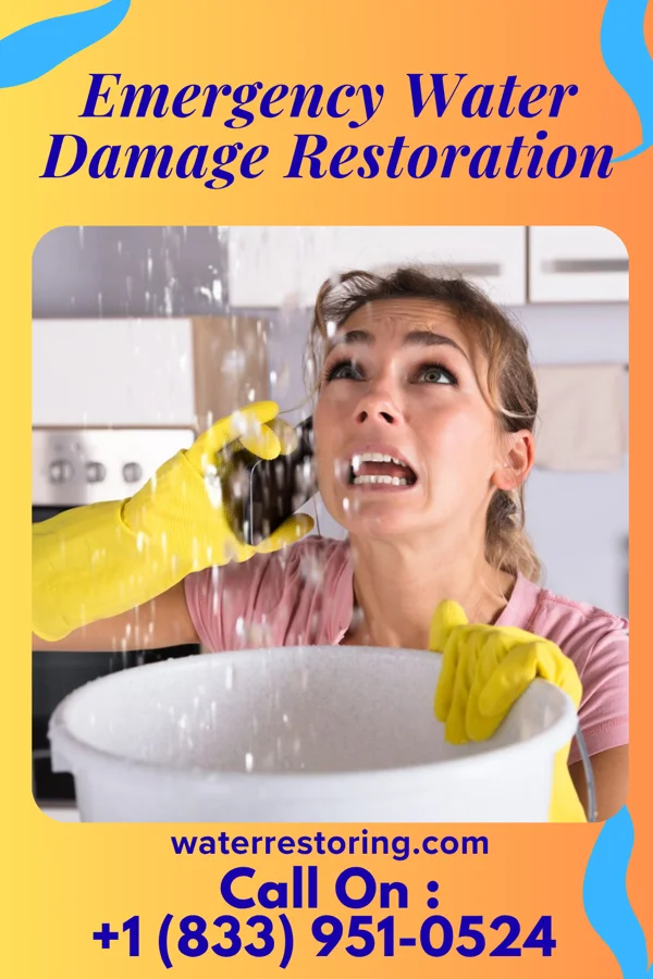 Emergency Water Damage Restoration in East Riverdale, MD