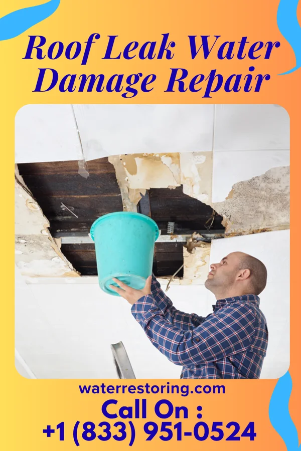 Roof Leak Water Damage Repair in East Riverdale, MD