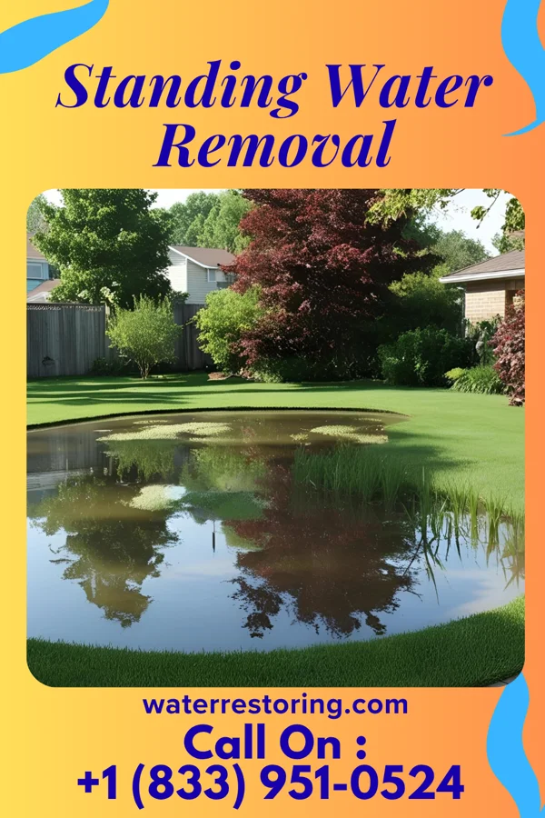 Standing Water Removal in East Riverdale, MD